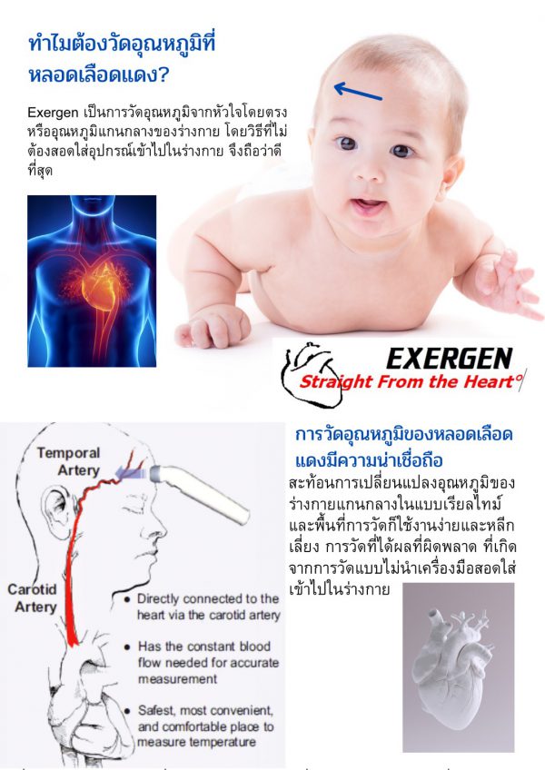 Exergen TAT5000 Professional (Temporal Artery) - Image 8